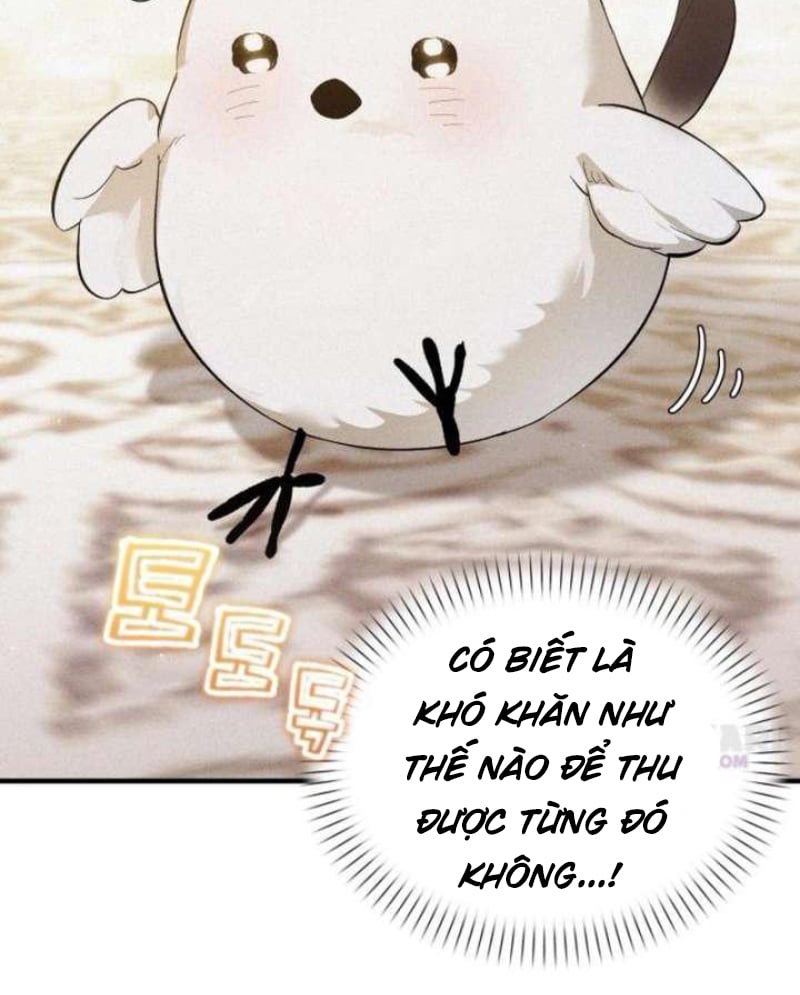 Trở Thành Rồng Nhỏ Chapter  5 - 13