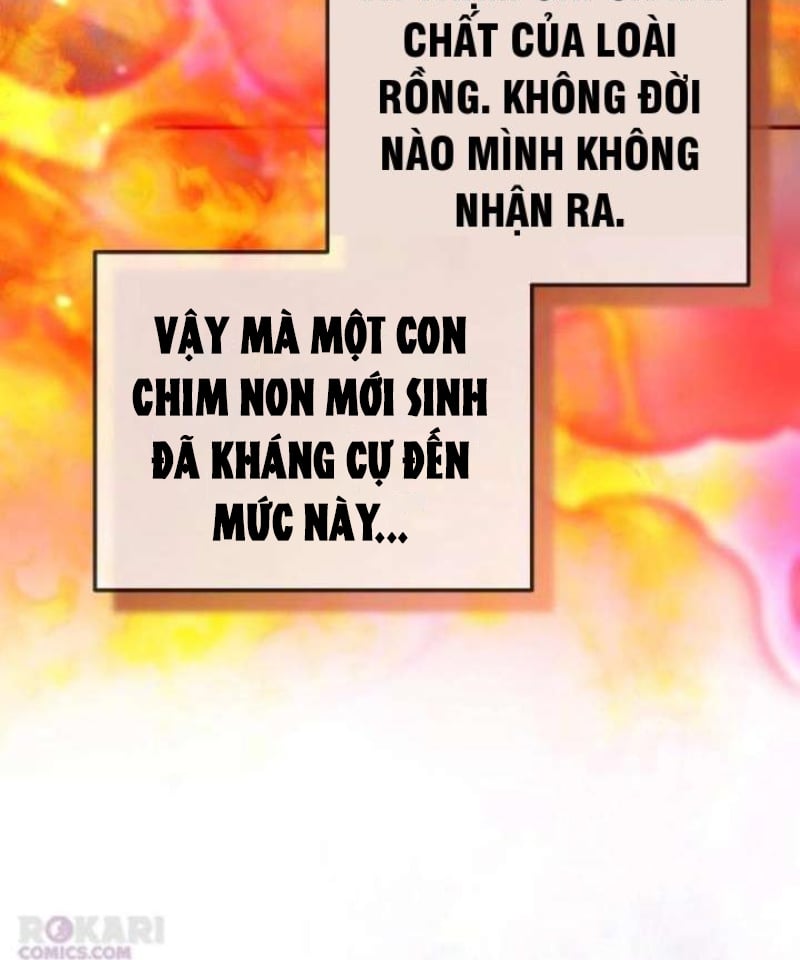 Trở Thành Rồng Nhỏ Chapter  5 - 68